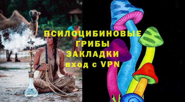 ПСИЛОЦИБИНОВЫЕ ГРИБЫ Армянск