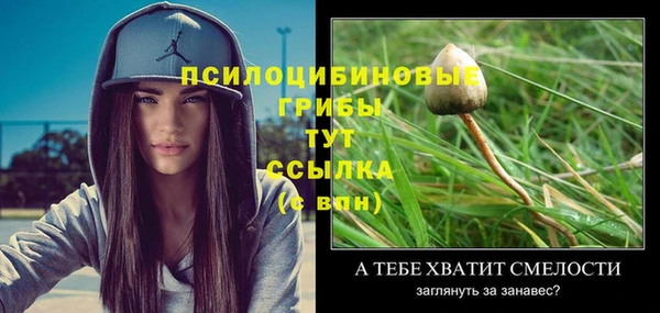 круглые Арсеньев