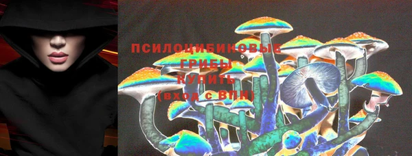 ПСИЛОЦИБИНОВЫЕ ГРИБЫ Армянск