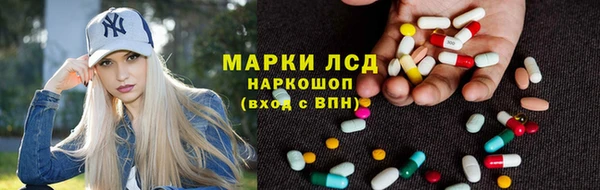 трава Аркадак