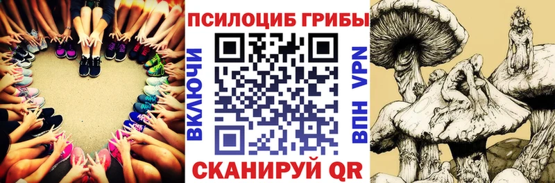 Галлюциногенные грибы Cubensis  Бакал 